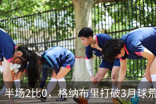 半场2比0，格纳布里打破3月球荒还解锁德甲里程碑