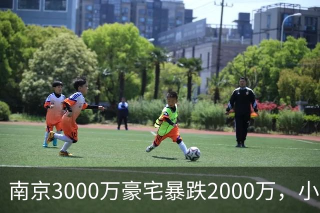 南京3000万豪宅暴跌2000万，小区出入口开在隧道里；业主：开发商承诺隧道为业主私享，中秋深夜却改为市政公共道路