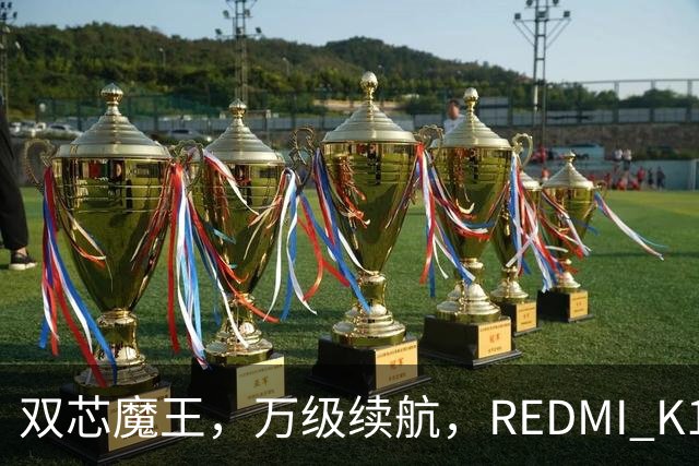 双芯魔王，万级续航，REDMI K100正式发布