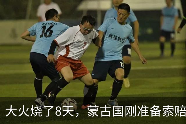 大火烧了8天，蒙古国刚准备索赔，日本终于表态，只字不提赔偿
