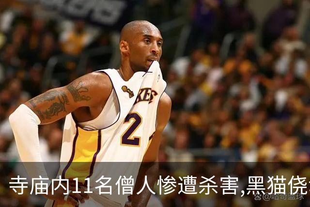 寺庙内11名僧人惨遭杀害,黑猫侥幸存活,警方赶到后它叼来一把钥匙