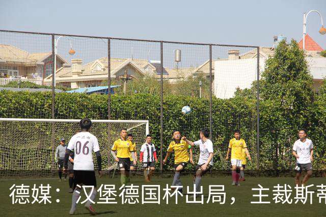 德媒：汉堡德国杯出局，主裁斯蒂勒承认漏判点球