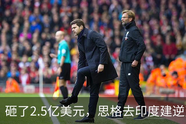 砸了2.5亿美元，思格去印度建逆变器储能厂，要给自己留足后路与筹码