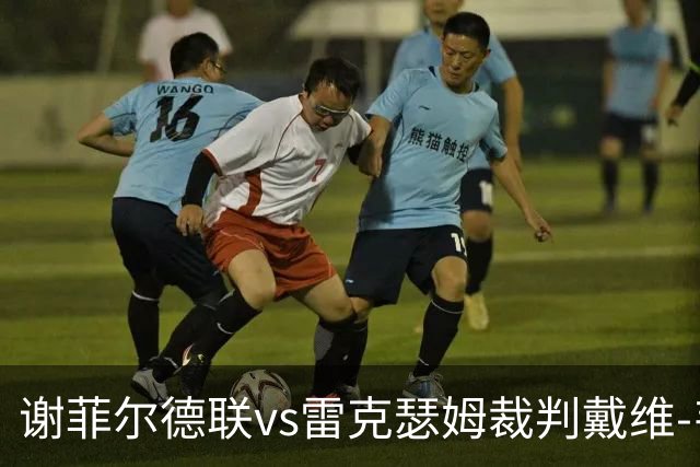 谢菲尔德联vs雷克瑟姆裁判戴维-韦伯数据：近20场0红54黄3点