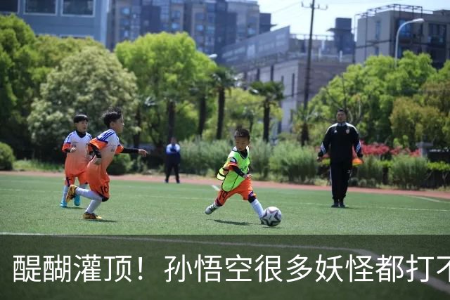 醍醐灌顶！孙悟空很多妖怪都打不过，为何神仙们却忌惮他呢？