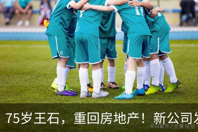75岁王石，重回房地产！新公司发文反思炒房热