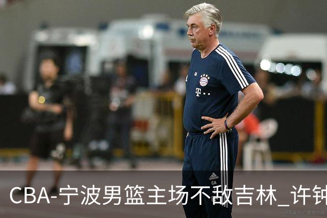 CBA-宁波男篮主场不敌吉林 许钟豪场边指挥