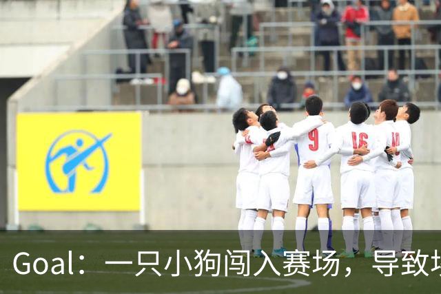 Goal：一只小狗闯入赛场，导致埃及联赛中断